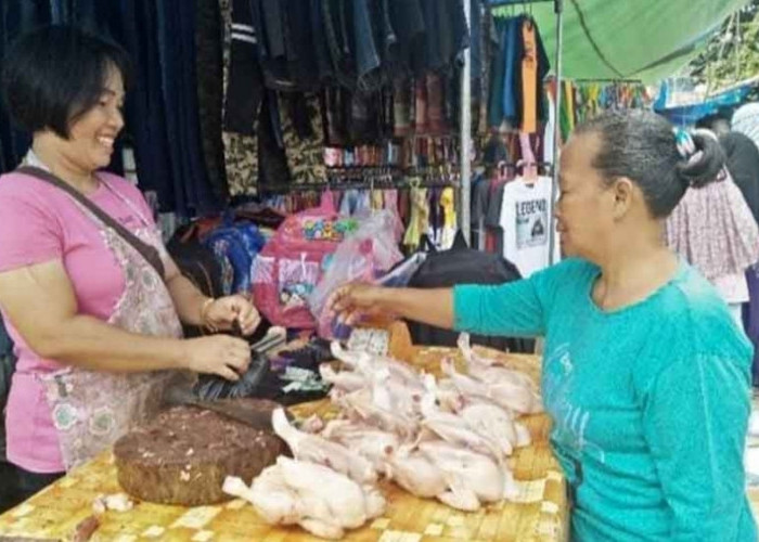 Usai Lebaran, Emak-Emak di Sanga Desa Dibuat Pusing Harga Ayam Masih Tinggi