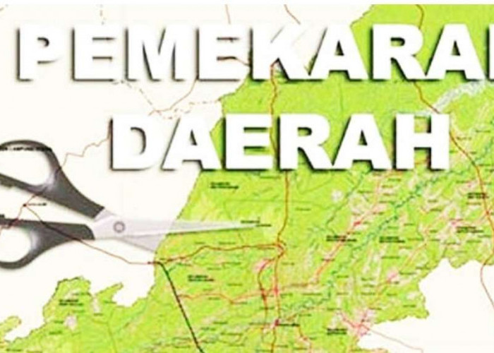 Terkait Usulan Pembentukan Provinsi Baru di Pulau Kalimantan, Gubernur Kalteng Minta Dukungan Wapres