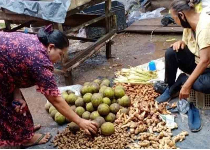 Jelang Masuknya Ramadhan, Beragam Jenis Bumbu Dapur Di Kecamatan Sanga Desa Masih Stabil