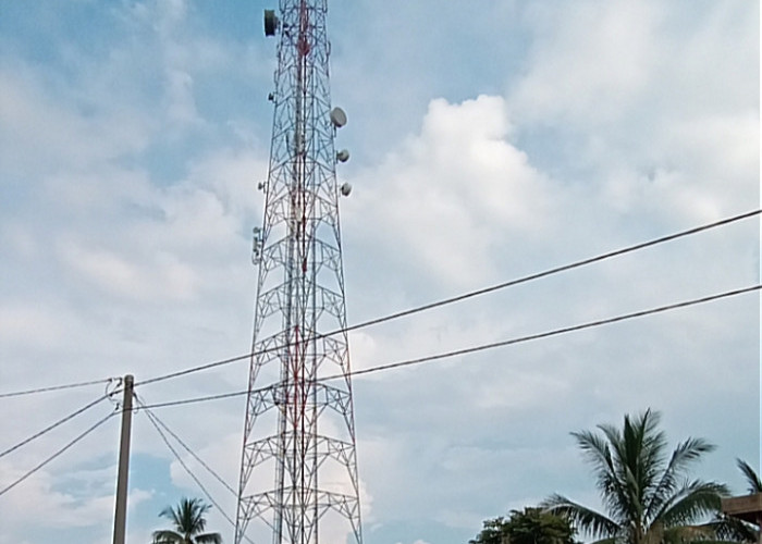 Diduga Tower Tersambar Petir, Jaringan Internet Seharian Lumpuh