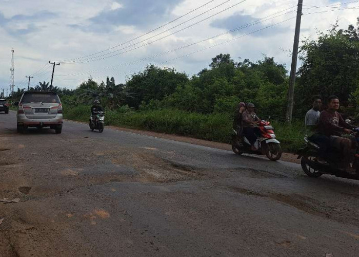 Kerusakan Jalintim di Pinang Banjar Makin Parah, Kerap Bikin Jalan Macet