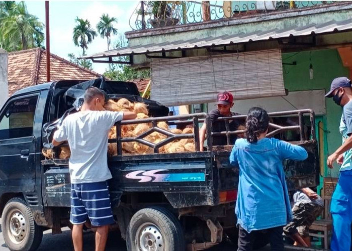 Harga Kelapa Melonjak, Emak-emak Menjerit, Warga yang Mau Hajatan Dibuat Pusing