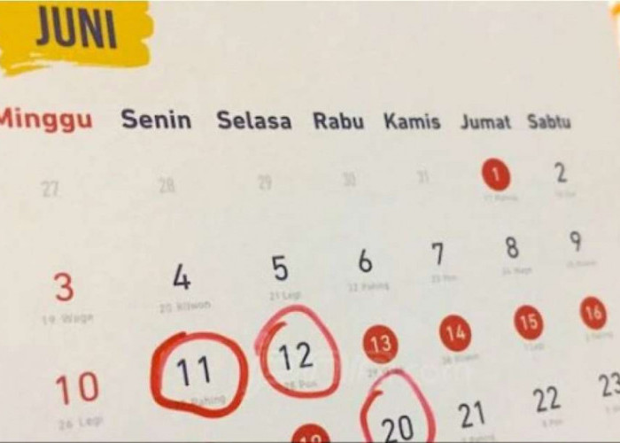 Terkait Usulan Libur Adha 3 Hari, MUI Akan Ikuti Putusan Pemerintah