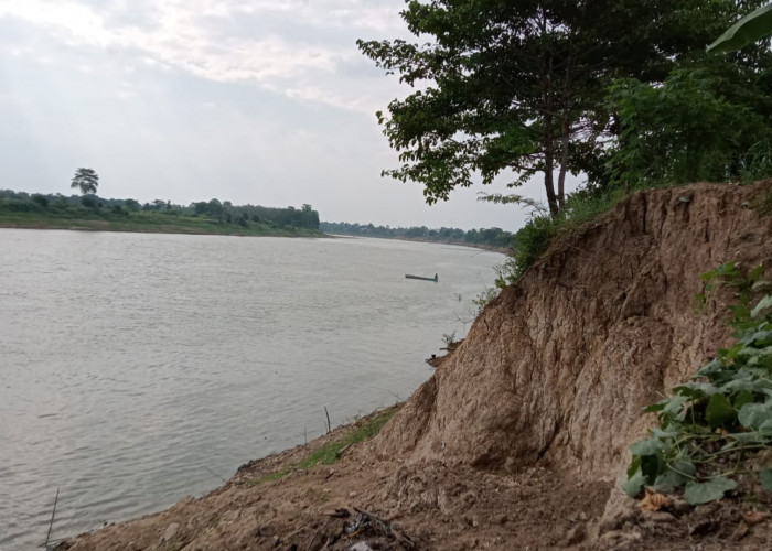 Mengkhawatirkan, Begini Kondisi Tebing Sungai di Bawah Alai Kota Sekayu