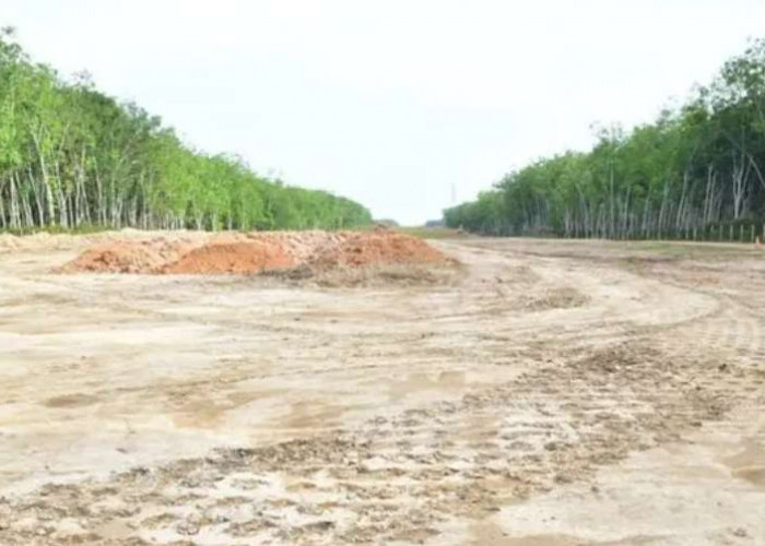 Jalur Tol yang Jadi Tulang Punggung Tol Trans Sumatera, Ditargetkan Selesai 2024