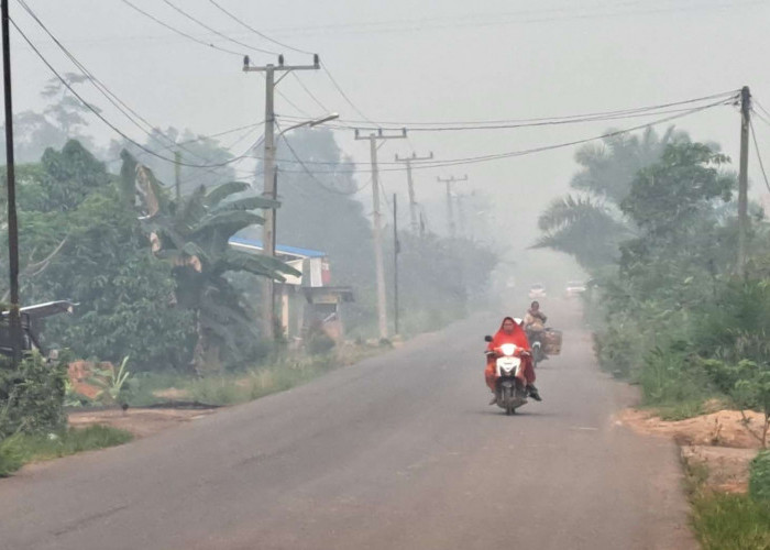 Kabut Asap Cukup Tebal Selimuti Wilayah Muba Pagi Ini