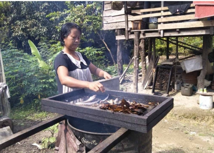 Tangkapan Ikan Berkurang, Produksi Ikan Salai di Sanga Desa Menurun