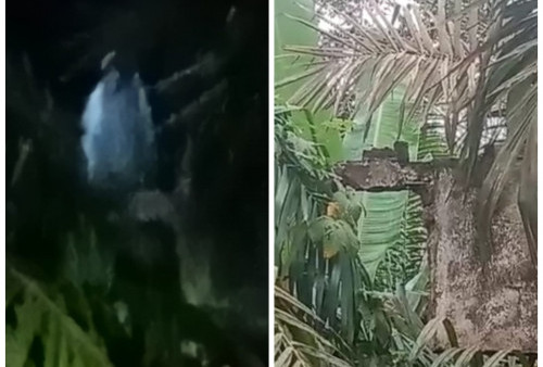 Viral , Video Penampakan Mahluk Halus di Bekas Gedung SDN 4 Ngunang