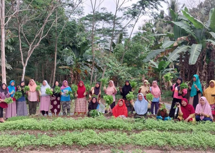 KWT Sritani Dusun 3 Desa Srigunung Berharap Bantuan 