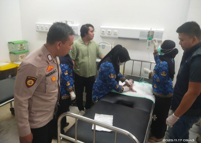 Begini Kronologi Lengkap Penemuan Bayi Perempuan di Belakang Ruko Sungai Lilin