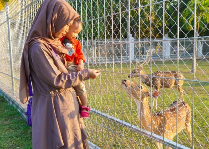 Libur Akhir Tahun di Kota Sekayu, Ini Sejumlah Tempat yang Bisa Dikunjungi