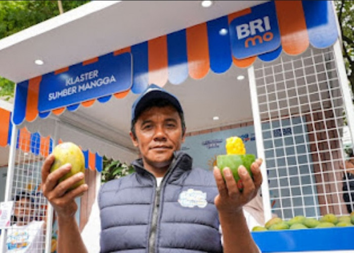 Diberdayakan BRI, Petani Mangga Bondowoso Mampu Perluas Lahan dan Tingkatkan Taraf Hidup