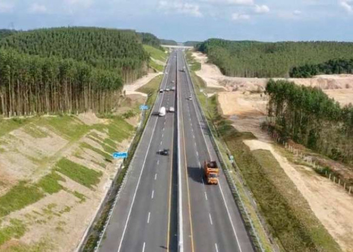 Ini Jumlah Kendaraan yang Melintas Per Hari di Tol Trans Sumatera, Tertinggi di Ruas Pekanbaru Dumai