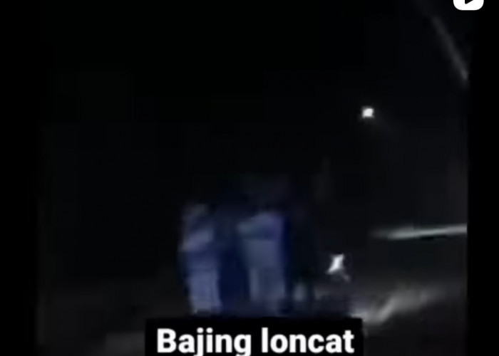 Viral Video 'Bajing Loncat', Si Jamu Menjawab Itu Hoax