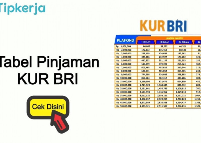 Bunga Rendah, Pinjaman KUR BRI Kian Diminati Agus Ingin Buka Pangkalan Gas