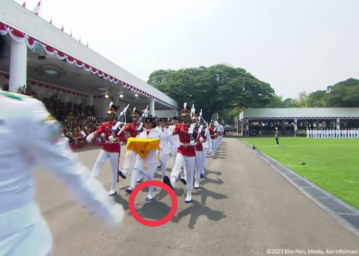 Tertangkap Kamera, Tiga Insiden Saat Upacara HUT RI ke-78 di Istana Negara, Apa Saja?