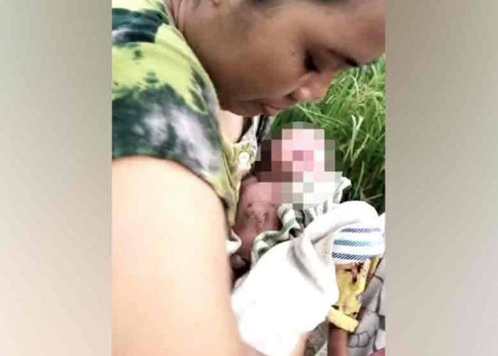 Menyedihkan, Warga Banyuasin Temukan Orok Bayi di Areal Persawahan