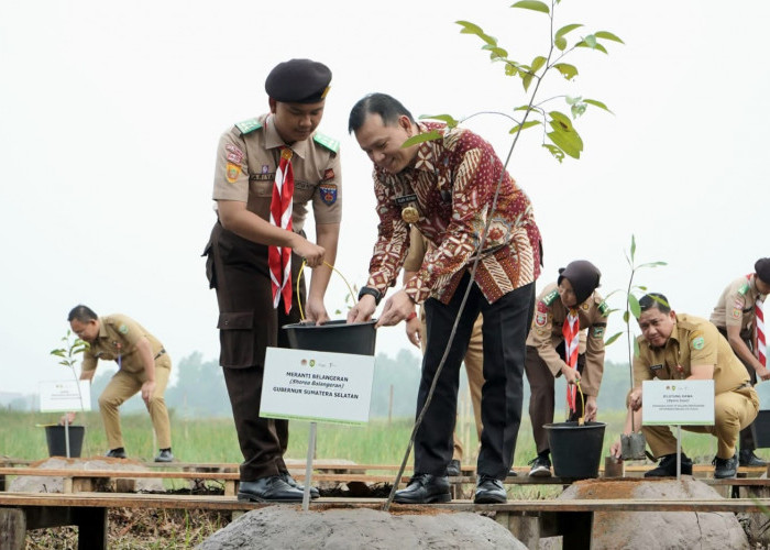 Wow, Sumsel Bakal Miliki Taman Rawa, Pertama di Indonesia