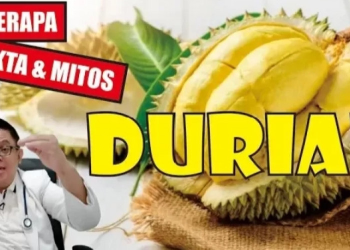 Mitos dan Fakta Seputar Buah Durian, Penggemar Durian Wajib Baca!