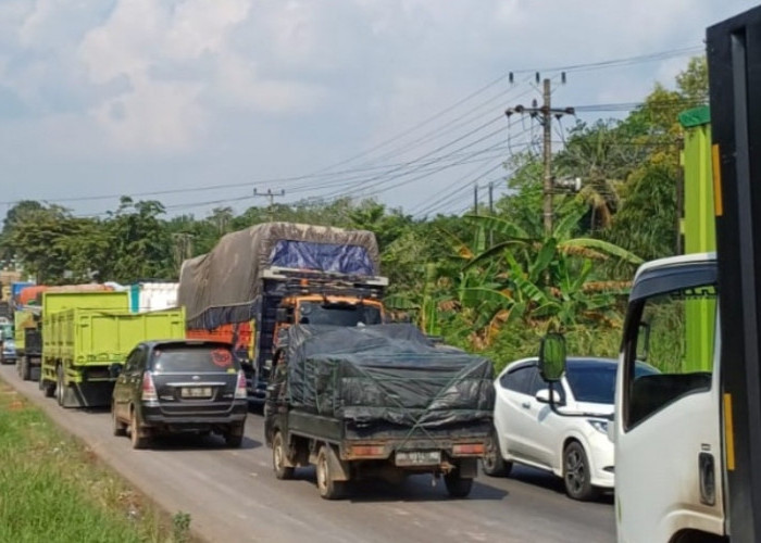 Srigunung, Salah Satu Desa Terpanjang di Muba, Membentang 23 KM Sepanjang Jalintim Palembang - Jambi