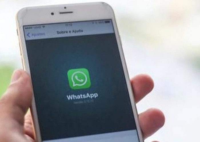 WhatsApp Diretas, Begini Cara Mengatasinya