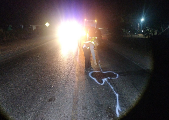 Kecelakaan Maut di Jalintim Sungai Lilin, Penumpang Motor Tewas Terlindas Truk Fuso