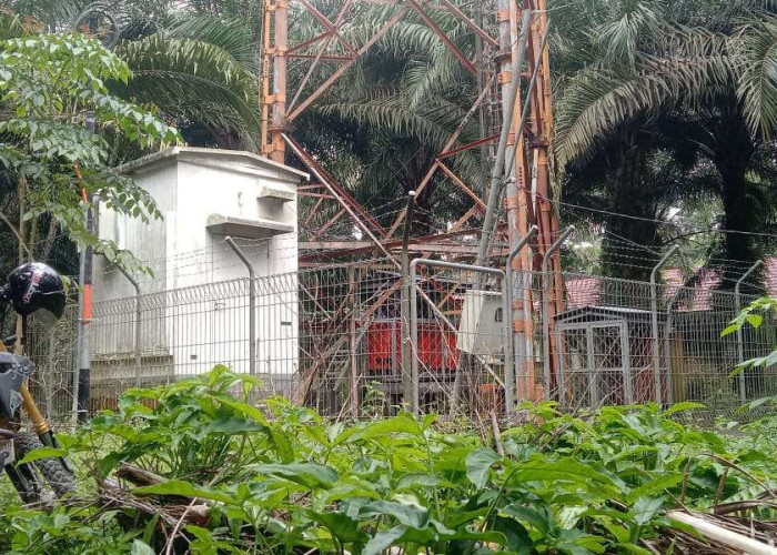 Pengakuan Penjaga Tower BTS, Tempat Ditemukan Pria yang Ditemukan Meninggal Tersangkut di pagar