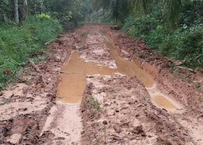 Jalan di Desa Epil Barat Kecamatan Lais Ini Cukup Menyedihkan, Berharap Ada Perhatian