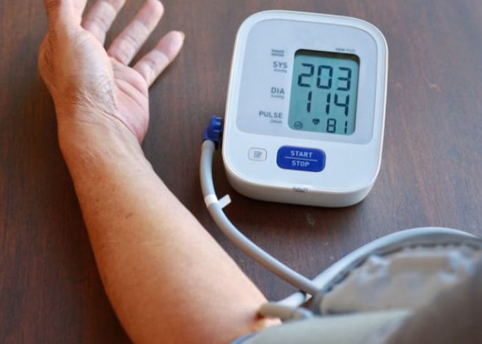 Usai Lebaran, Ini Rekomendasi Tanaman yang Bisa Bantu Menurunkan Darah Tinggi