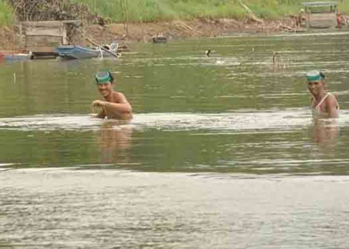 Air Sungai Musi Surut, Warga Kabupaten Tetangga Datang  'Berburu' Emas di Kecamatan Sanga Desa, Ini Lokasinya