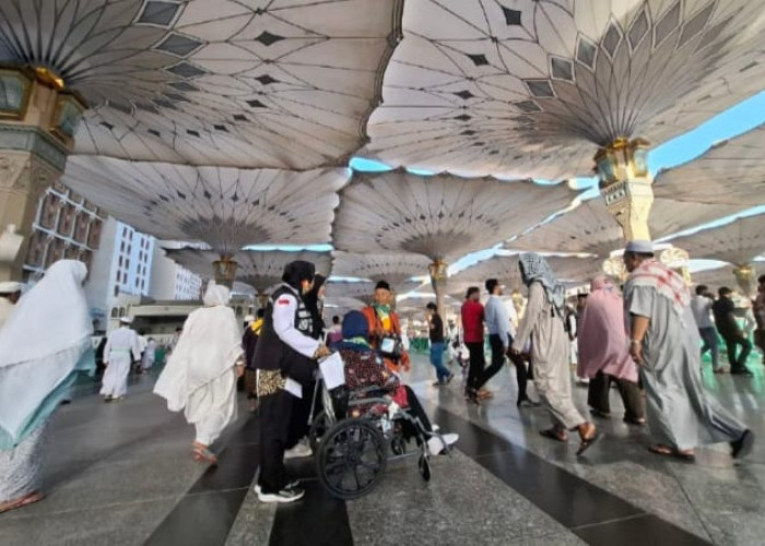 Petugas Haji Ini Berjaga 24 Jam di Halaman Masjid Nabawi, Apa yang Dikerjakan?