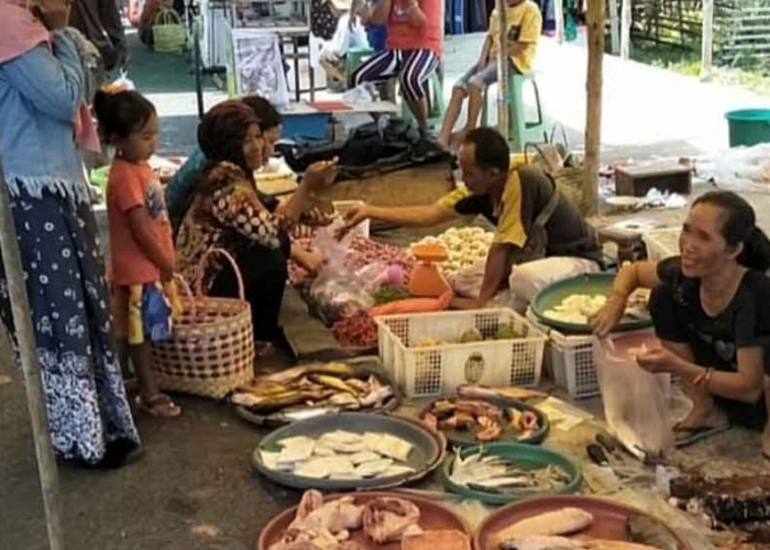 Pekan Kedua September, Harga Ayam Potong di Sanga Desa Turun Harga