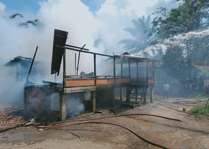 Ditinggal Pergi, Rumah Warga Pangkalan Jaya Hangus Terbakar 