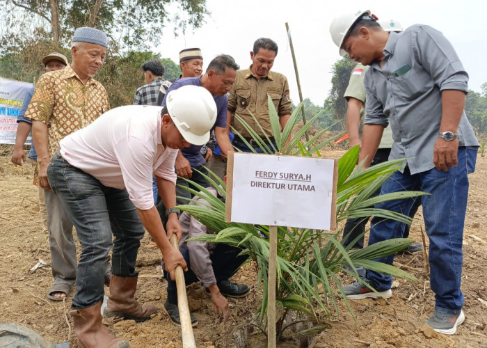 Bangun Kebun Plasma di Desa Kertajaya, PT. MAS Bersama Masyarakat Lakukan Tanam Perdana