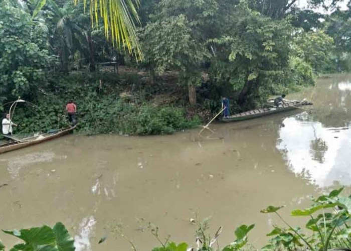 Pasca Banjir, Warga Sanga Desa Ramai Terjun ke Sungai ini, Untuk Berburu Ikan