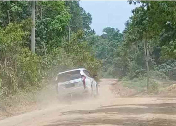 Tak Pernah Disiram, Warga yang Melintas di Jalan Desa Macang Sakti – SP Mangun Jaya 'Mandi DeBu'