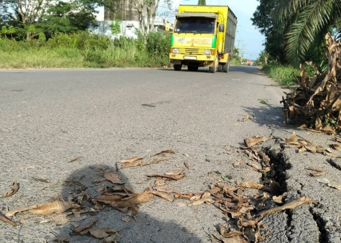 Akses Vital Sungai Lilin-Keluang Terancam Putus, Gorong-Gorong di Desa Pinang Banjar Ambles!  ​