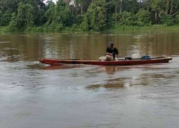 Air Sungai Musi Pasang, Nelayan di Sanga Desa Mulai Berburu Ikan Berukuran Besar