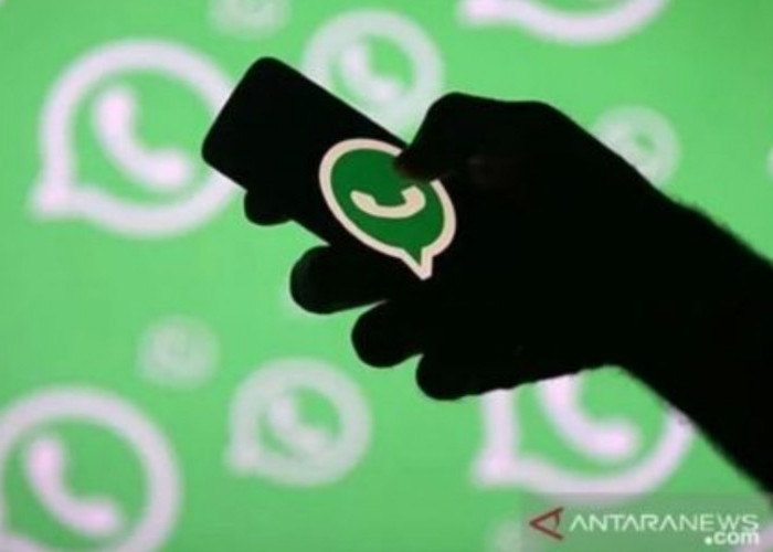 WhatsApp Versi Terbaru, Kirim Banyak Foto dan Video Jadi Lebih Praktis