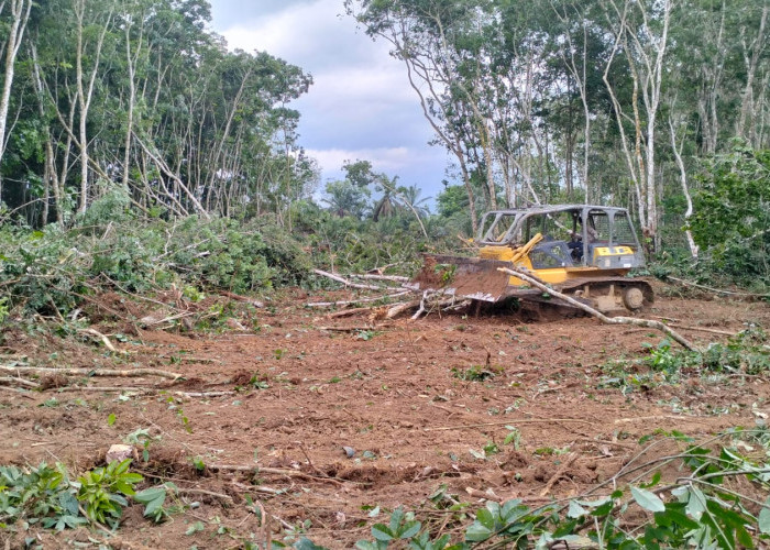 Pembangunan Tol Trans Sumatera di Desa Bukit Jaya Kecamatan Sungai Lilin Mulai Digarap