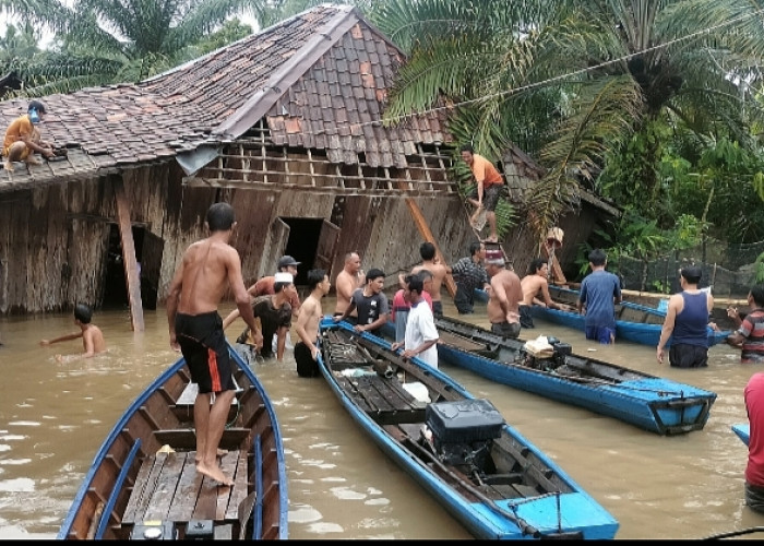 BREAKING NEWS! Satu Rumah Warga di Desa Ngulak III Roboh Akibat Banjir