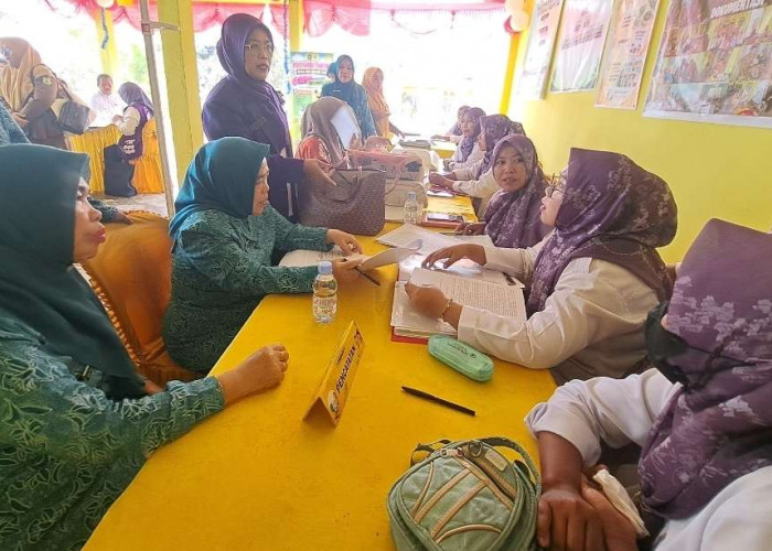Desa Sukadamai Baru Jalani Penilaian Lomba Posyandu dan PHBS Tingkat Provinsi Sumsel