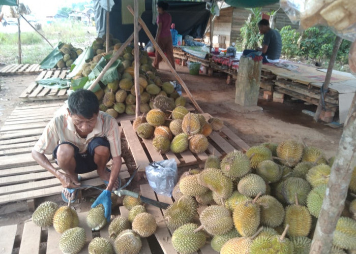 Lapak Durian Nyebar di Jalintim, Harga Bervariasi