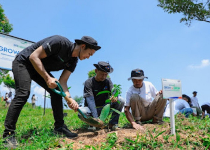 Pulihkan Hutan Bekas Tambang, Aksi Nyata Kelompok Tani Selamatkan Lingkungan Bersama BRI Menanam-Grow & Green