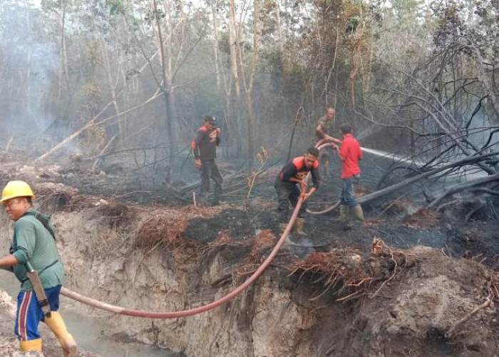 Dianggap Kirim Asap ke Kota Sekayu, Begini Tanggapan PT IAM 