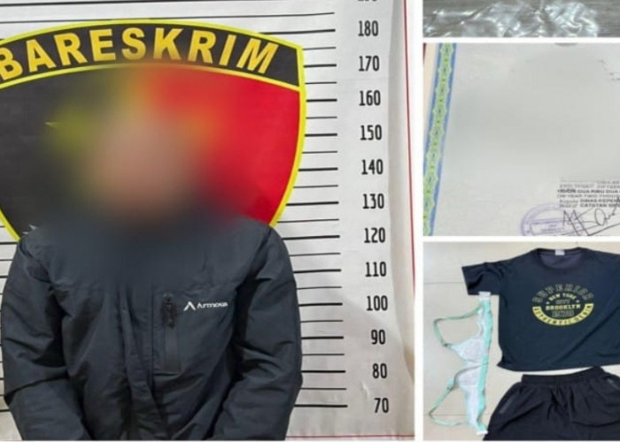 Polisi Ringkus Buruh Sawit di Muba, Tega Setubuhi Anak Majikan di Bawah Umur  ​