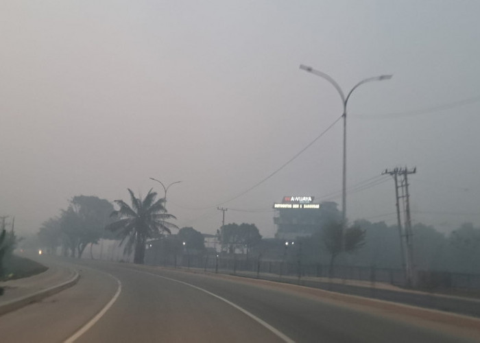 Dampak Kabut Asap di Kota Palembang, Penderita ISPA Dalam Seminggu Terakhir Capai 3.182 kasus