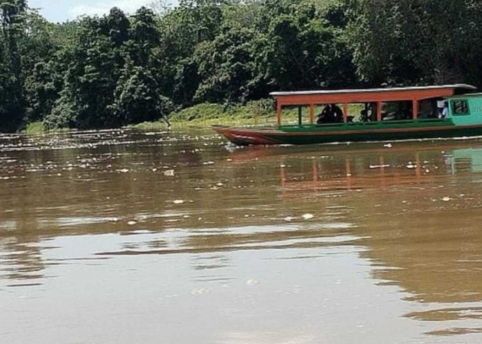 Curah Hujan Tinggi, Air Sungai Musi Kembali Pasang