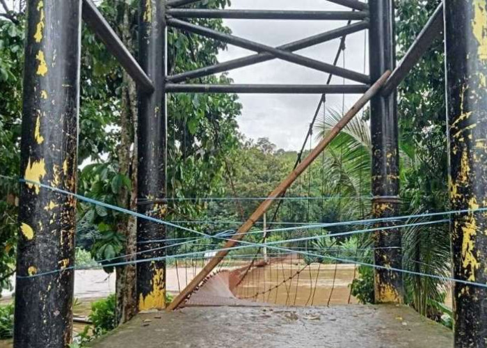 Dua Tahun Terputus, Warga Karang Agung Bertaruh Nyawa Seberangi Sungai Demi Ekonomi