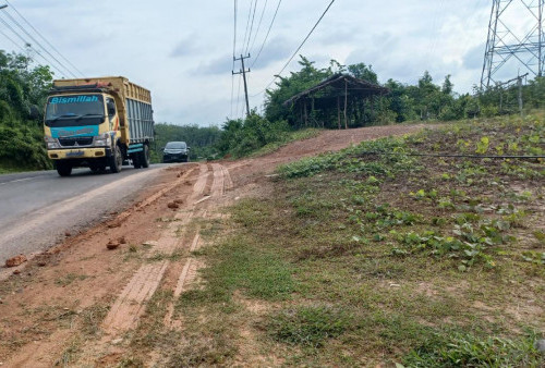 Kabel Listrik hingga Sentuh Tanah di Teluk Kijing III, Buat Warga Khawatir